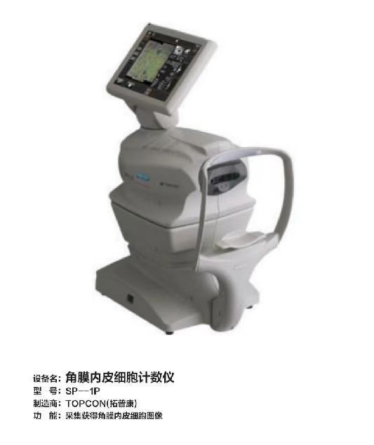 角膜内皮